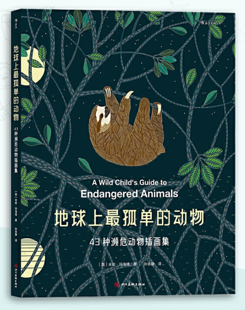 为什么篮球传说的训练方法能帮助你快速进步_2